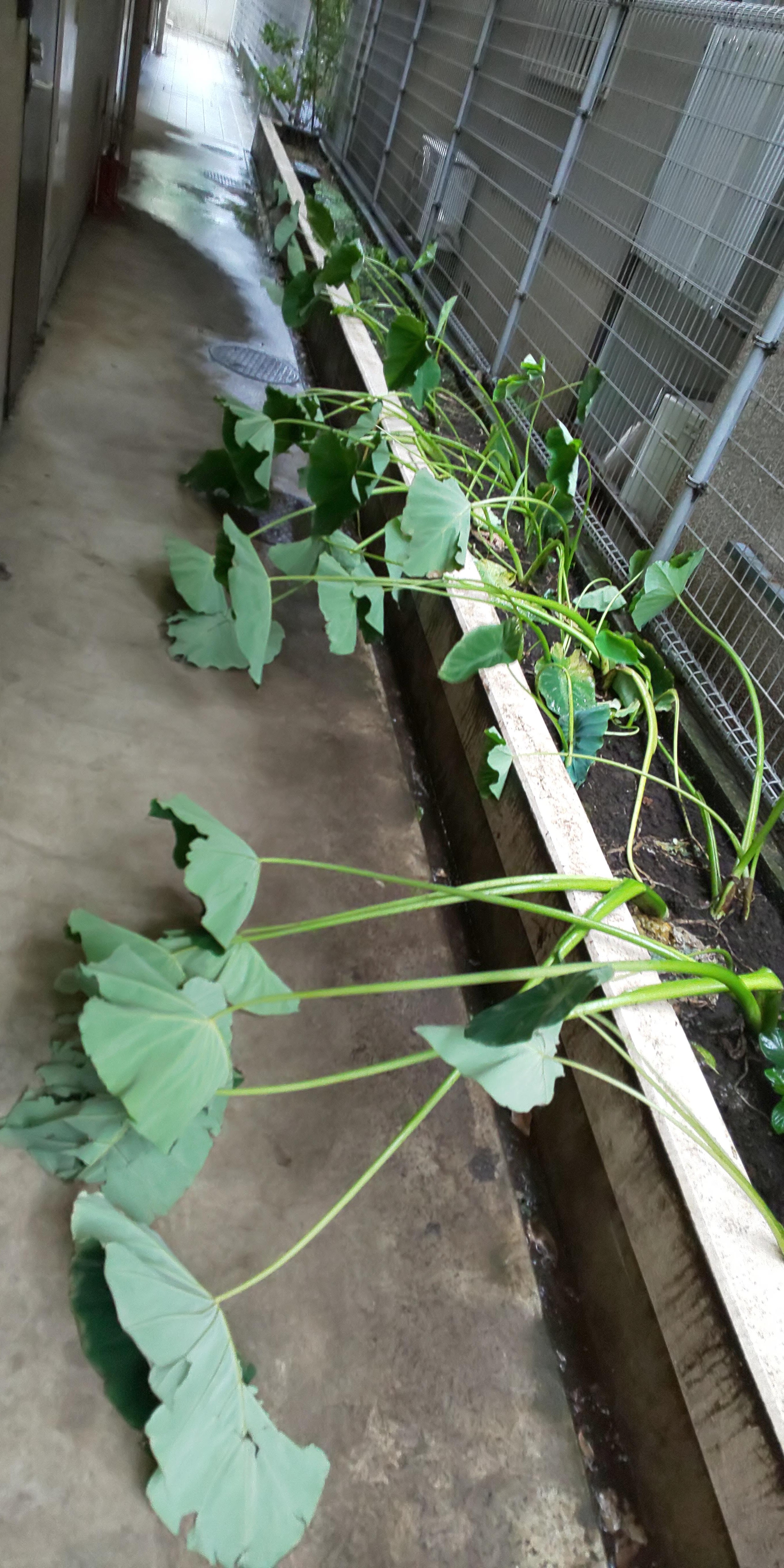 2019/09/09 䂭䕗B̒B񂽂́AJǂȂOIȎSsՂB