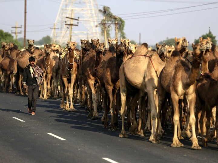 صور من العالم