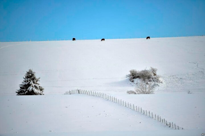 صور من العالم