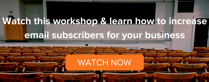 email-subscriber-live-workshop