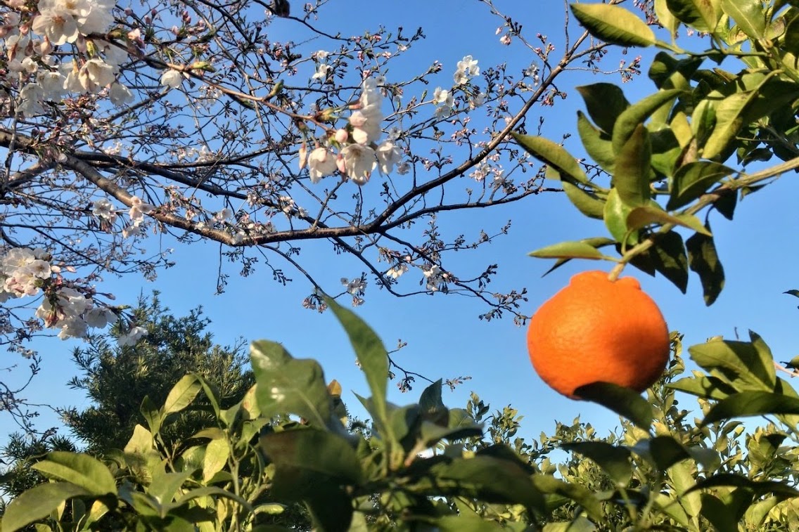 新年度