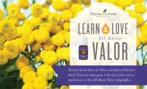 Learn about Valor essential oil blend Infographic