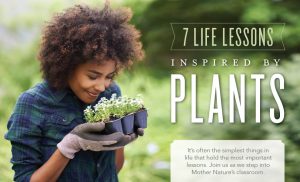 Lessons we can learn from plants