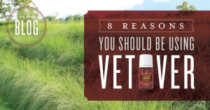 8 reasons you should be using Vetiver