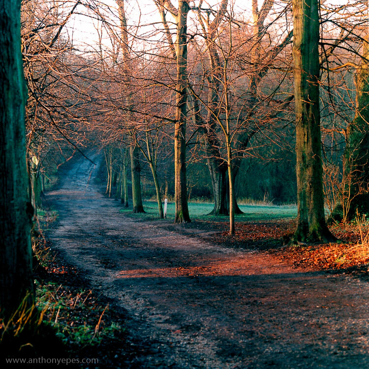 How to Capture the Feeling of Color and Create More Compelling Images