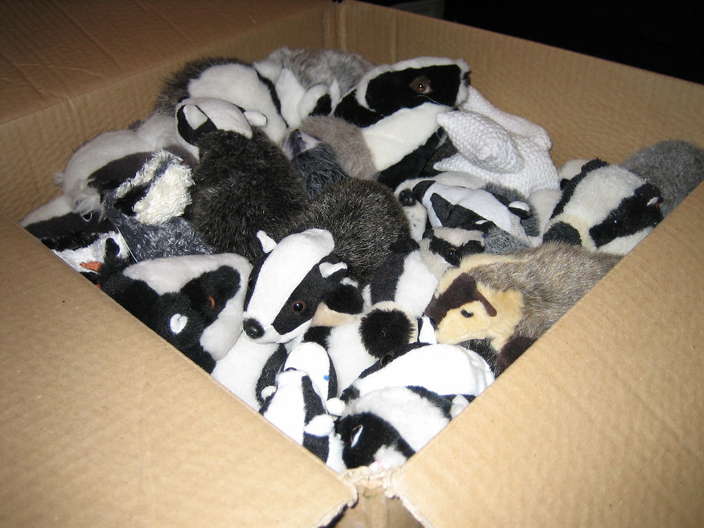 Box of badgers (closeup)