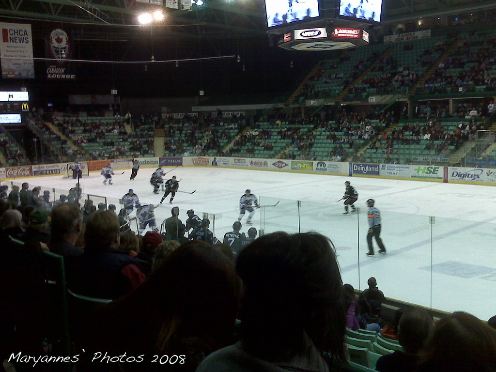 2008/341:  "Ice hockey is a form of disorderly conduct in which the score is kept.  "
