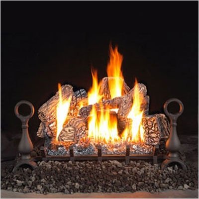 Bundle-79 Vent Free Fireplace Gas Log Kit Size: 24