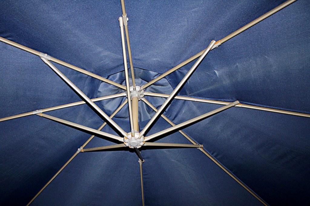 umbrella / Parasol