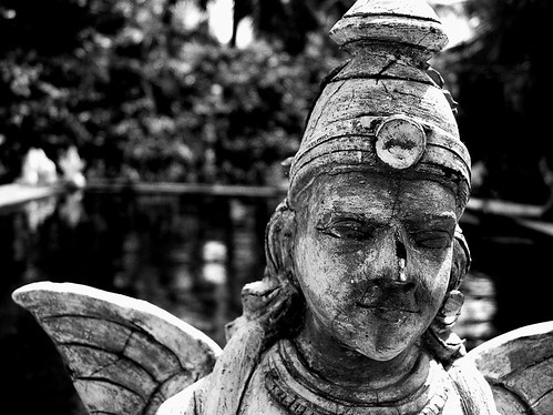 Bangalore | The Angel