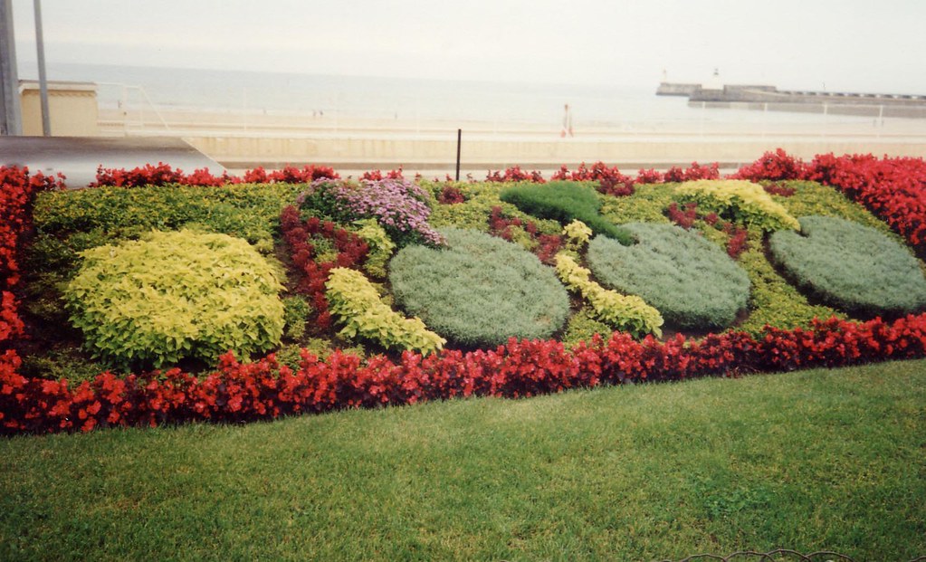Look For Cyclists In The Flowers @ Les Sables