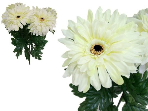 28 Cream Silk GERBERA Daisy Wedding Flowers Bushes