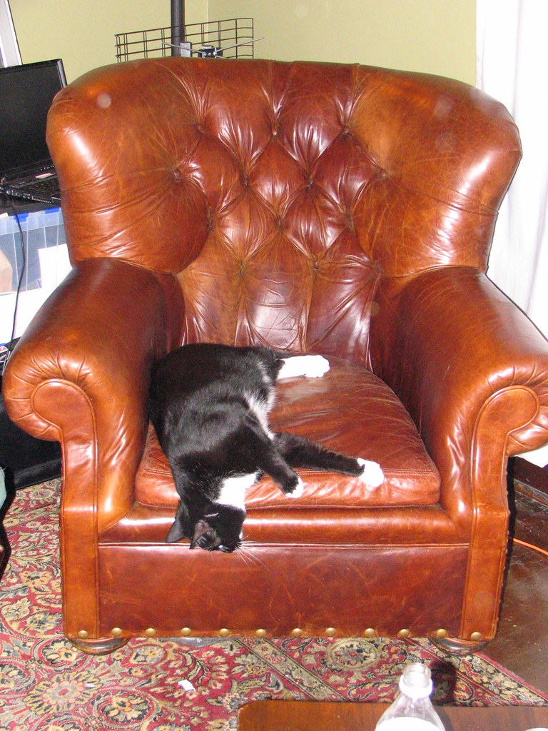 Sherman likes the armchair