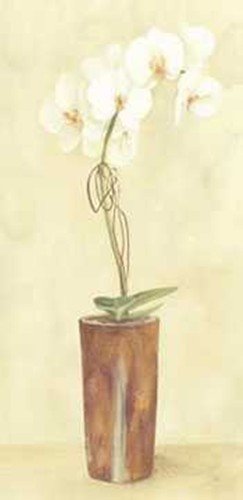Chinese Flower Modern Vase 2 by Esther Lebrato . Art PRINT Poster 6.00 X 14.00