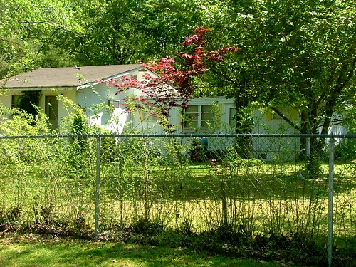 Alternative View, Outstanding Yellow & White Mobile Home, Saline County AR
