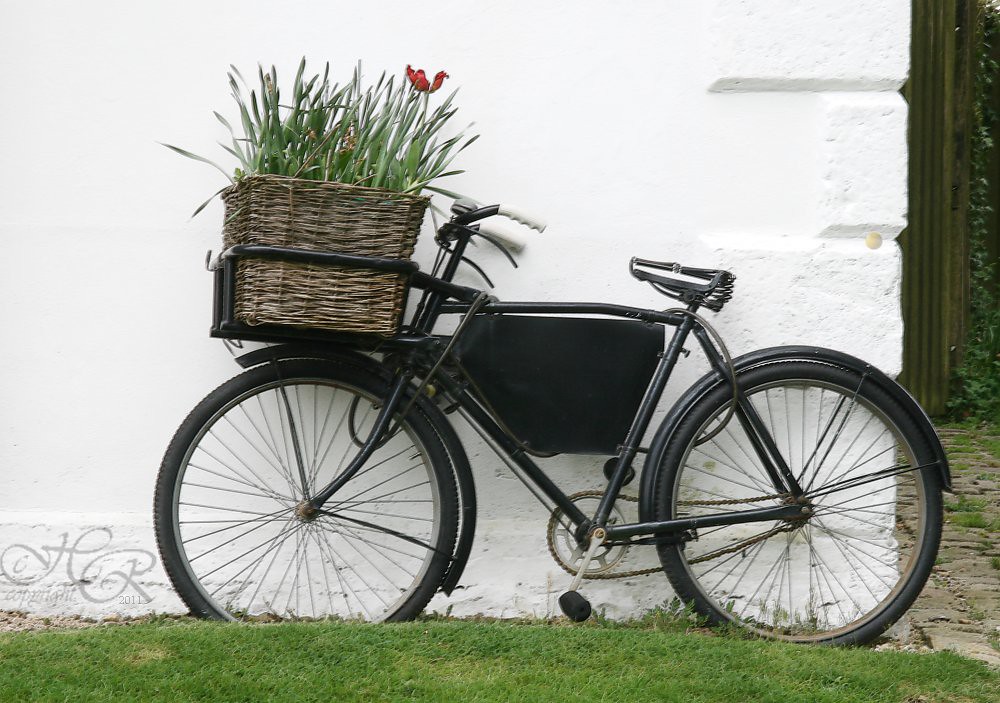 Bicycle & Basket