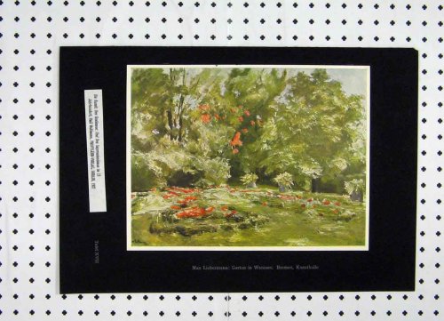 Colour Print Belgium 1927 Flowers Trees Garden