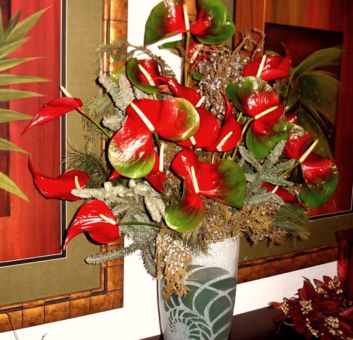 CHRISTMAS FLOWERS FOR DELIVERY : FOR DELIVERY - ALOHA FLOWERS GIFTS ...