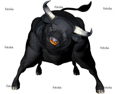 'Charging Bull Stock Market Gold Ring In Nose' Wall Decal - 36
