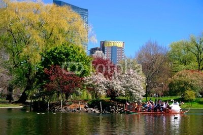 Wallmonkeys Peel and Stick Wall Decals - Boston Public Garden in Spring - 24