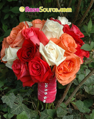 salmon themed wedding bouquet with velvet ribbon, impulse roses, polo roses