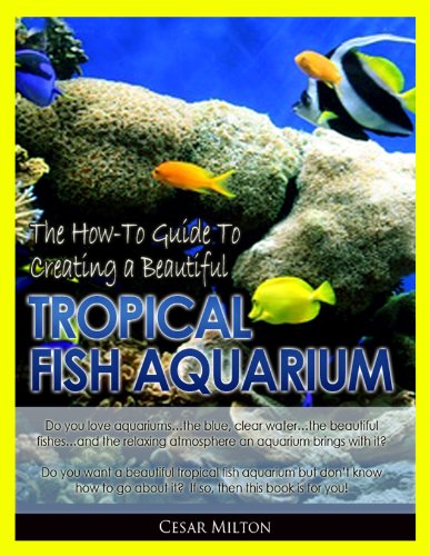 Aquariums 101: The How-To Guide to Creating a Beautiful Tropical Fish Aquarium