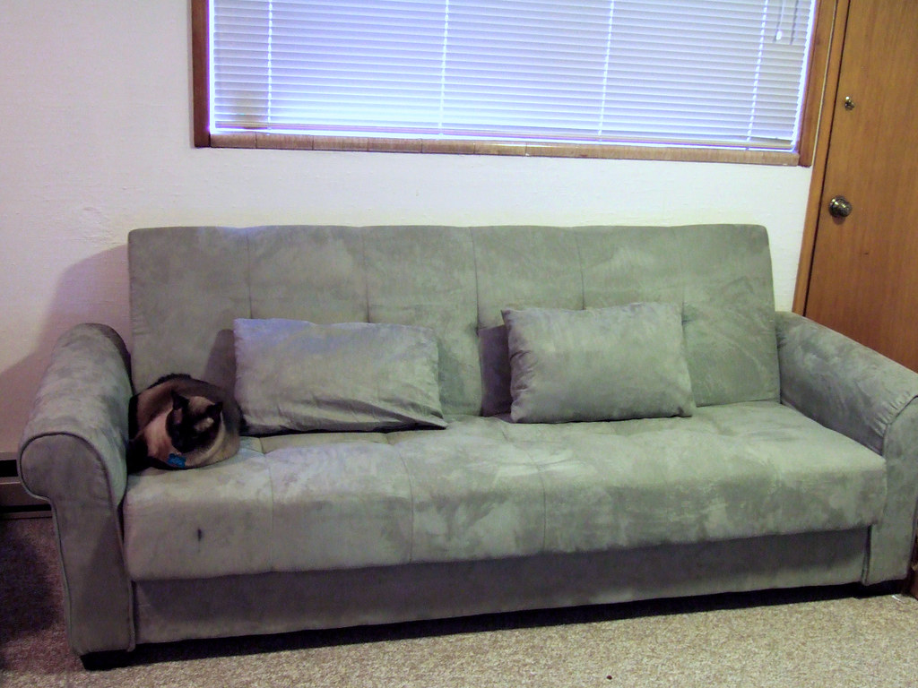New couch