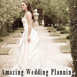 Amazing Wedding Planning Woman 300x300