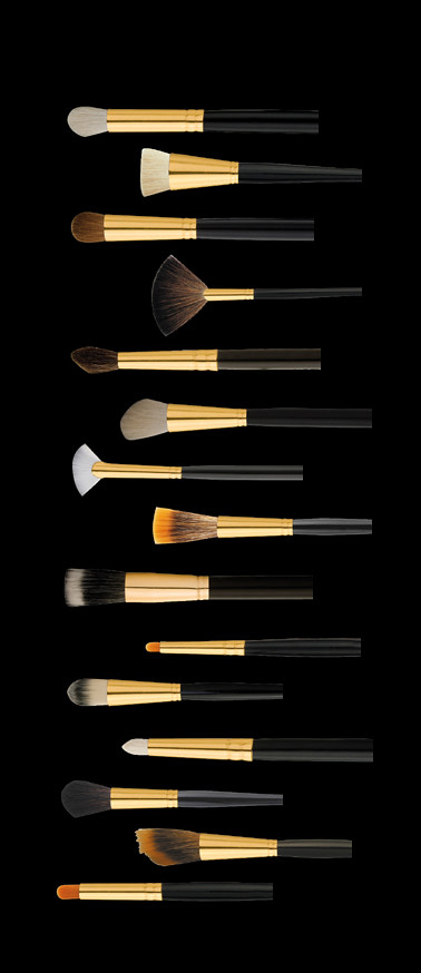 Ten Image Professional Cosmetics Brushes