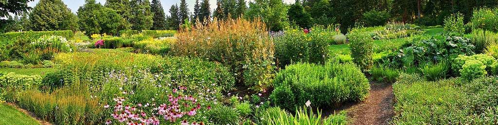 Joel E. Ferris Perennial Garden Panorama
