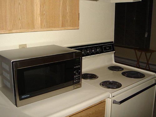 Best Microwave Ever