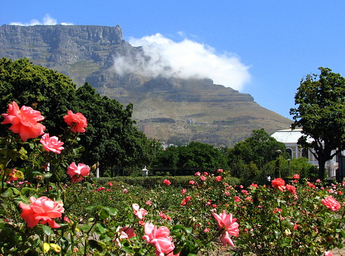 Table Mountain A rosy sunday in  CapeTown