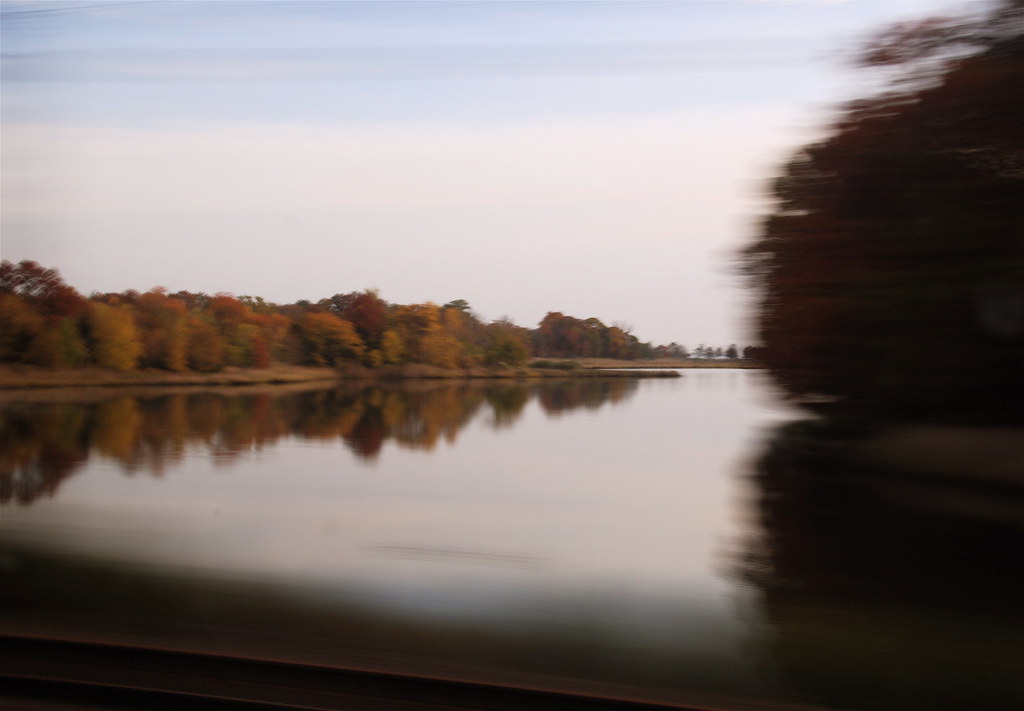 Fall reflections (from rushing train)