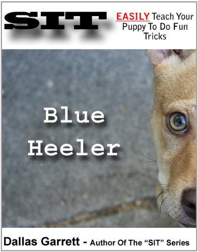 How To Train Your Blue Heeler To Do Fun Tricks