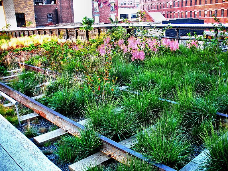 5316Landscaping on the High Line