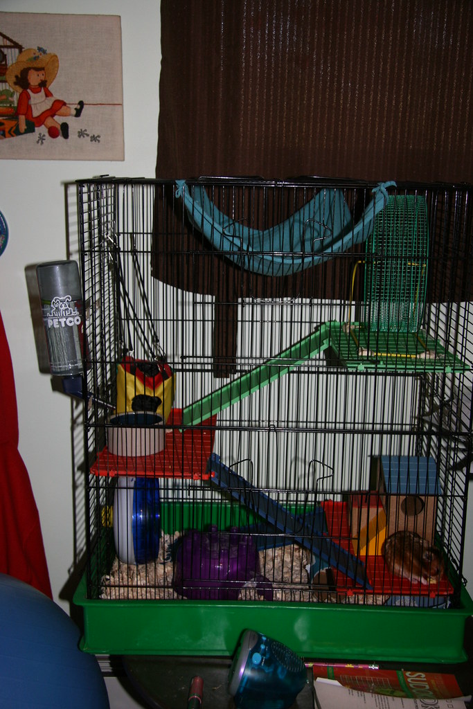 As per request- photo of Squeaky's cage