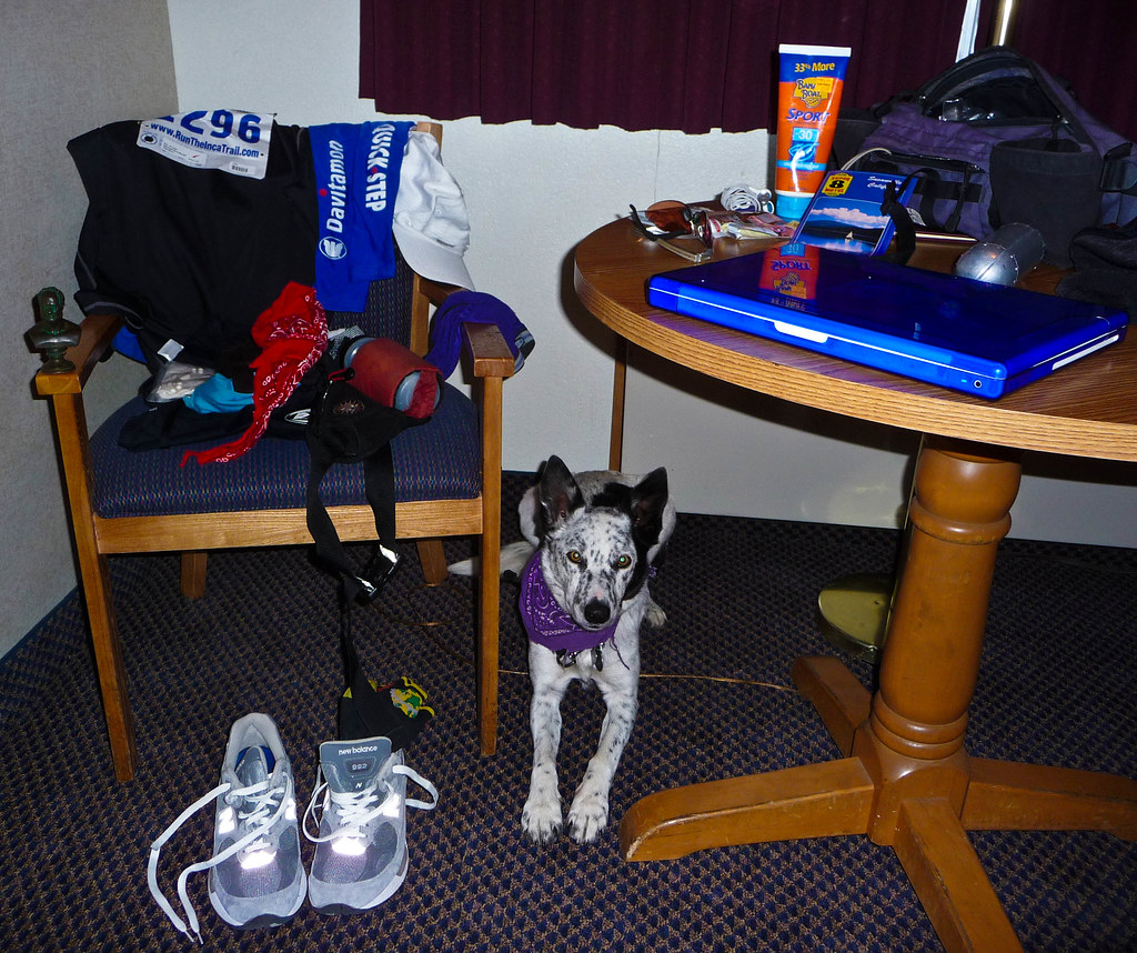 Bizz Johnson Marathon - Motel Room Pre-Race Preparation, and Ringo 2008