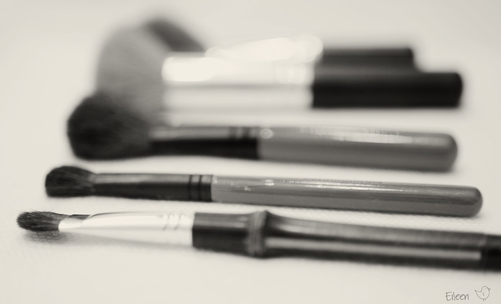 Brushes in black and white