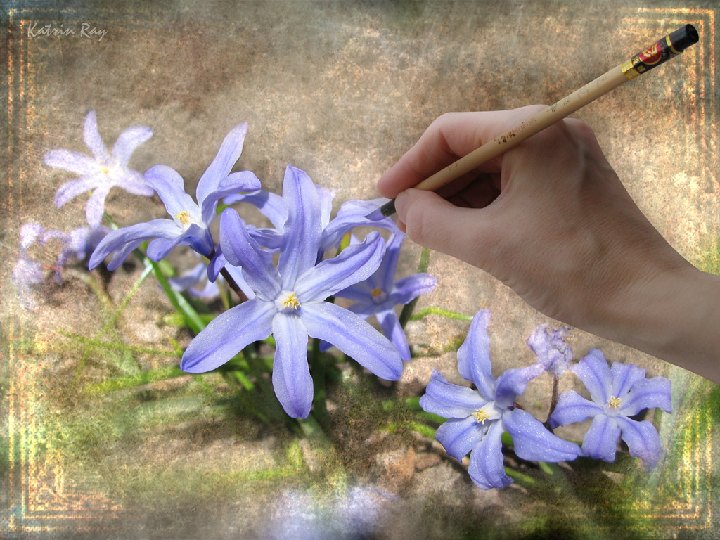 Painting Flowers For Spring