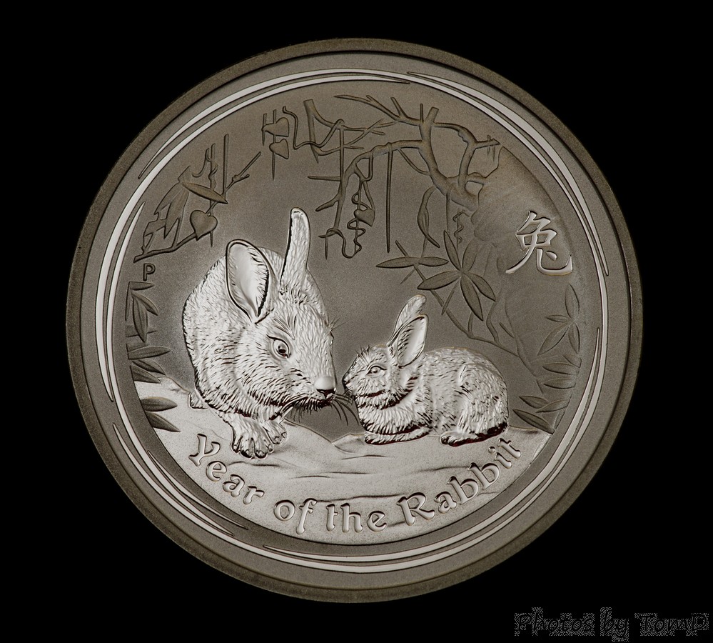 2011 Silver Rabbit v2