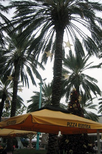 Miami - South Beach: Lincoln Road - Pizza Rustica