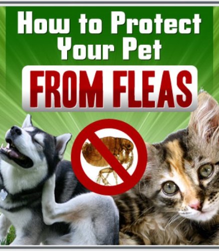 The Definitive Guide To Flea Treatment and Prevention: How To Eradicate Fleas From Your Home and Protect Your Pet Once And For All