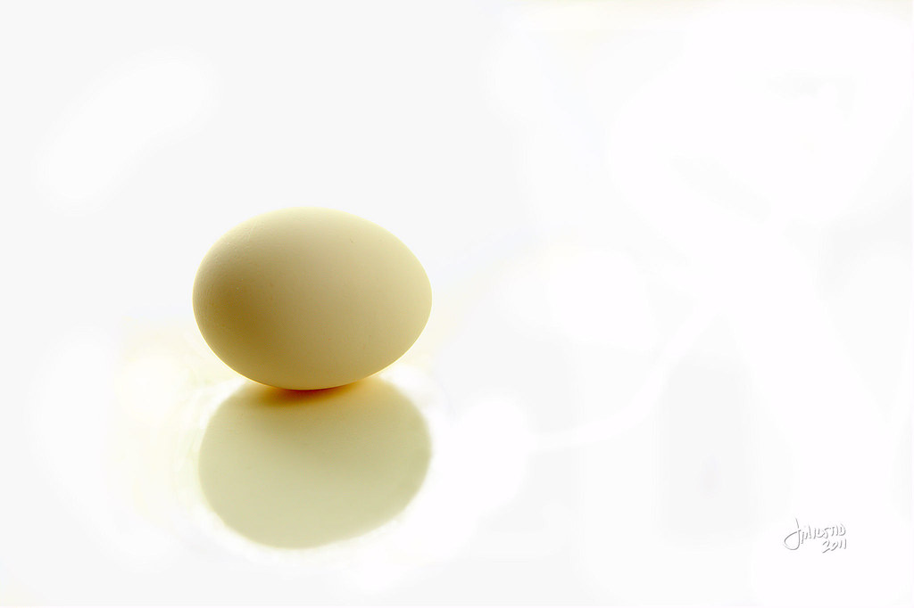 Egg White - Project Flickr: Reflections