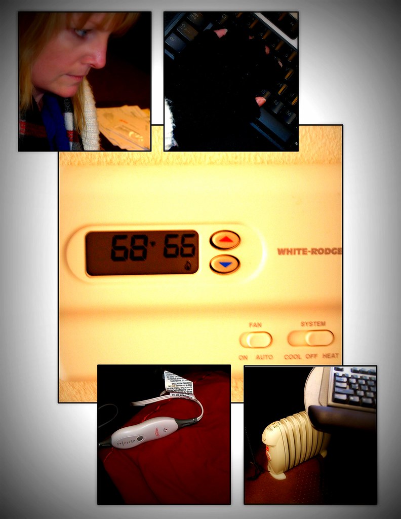 18/365   ~ battle of the thermostat