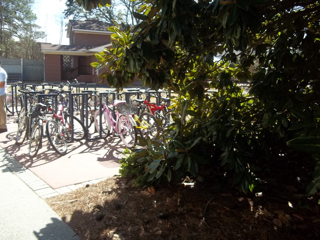 Bicycle Rack at Biology Building