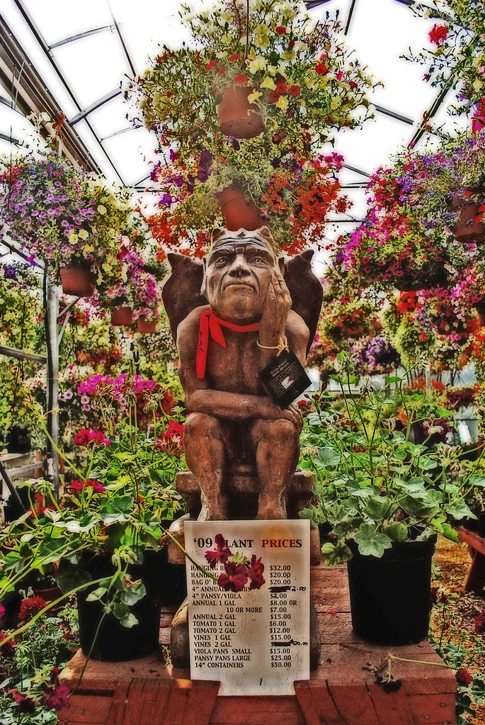 Having Dropped Out of Gargoyle School, Karl Could Only Get A Job Selling Flowers