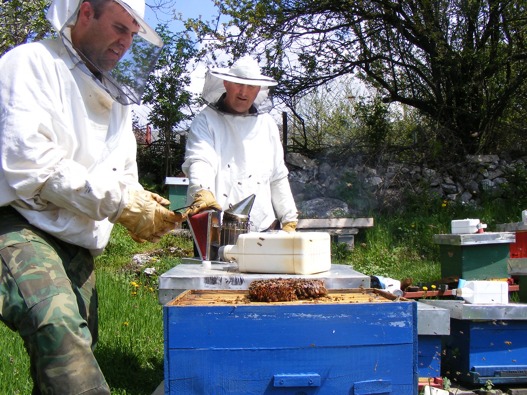 Bees Spring cleaning (7)