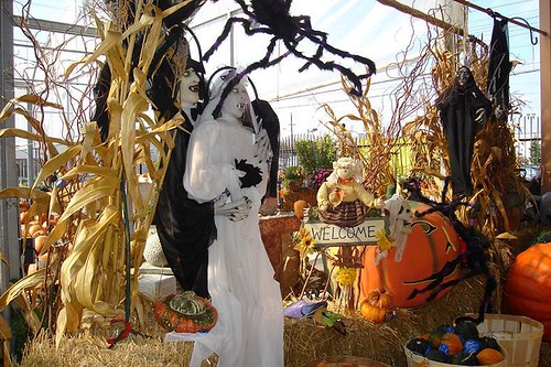 The Wedding in Halloween 2007.