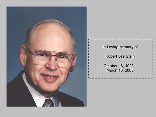 Robert L Stein