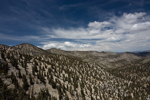 The White Mountains, California